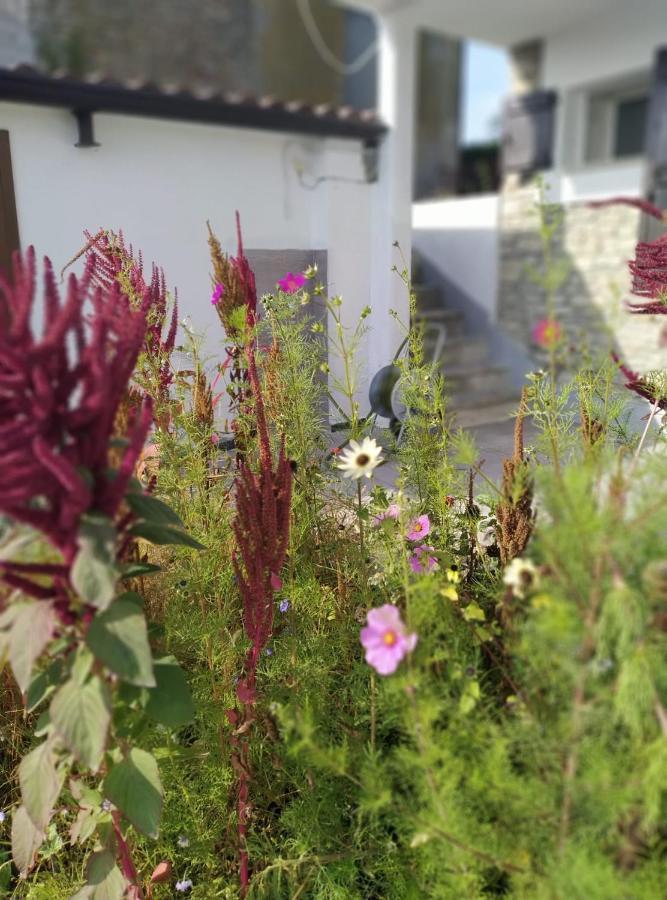 Casa Doris Lejlighed Montabone Eksteriør billede